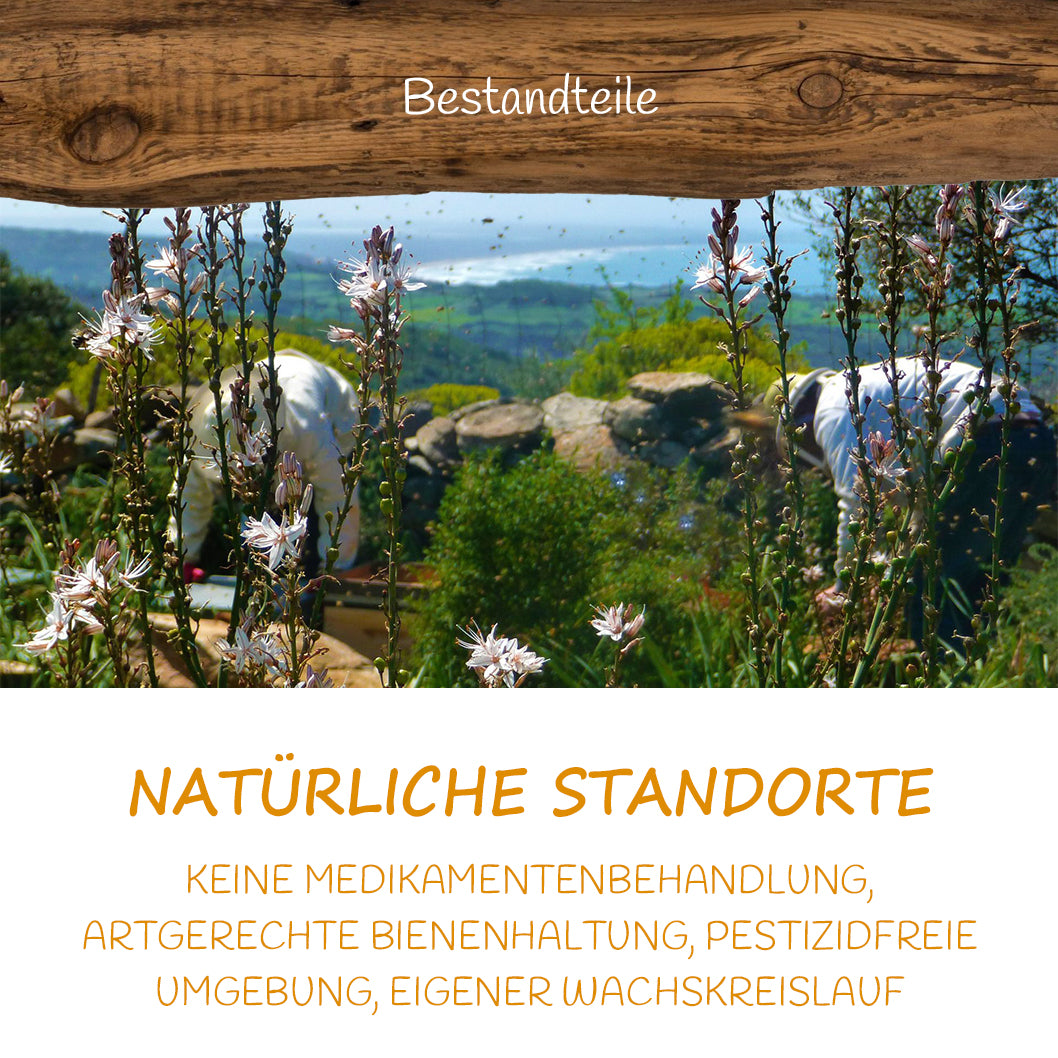 Honig von natürlichen Standorten bei der Allgäuer Wanderimkerei