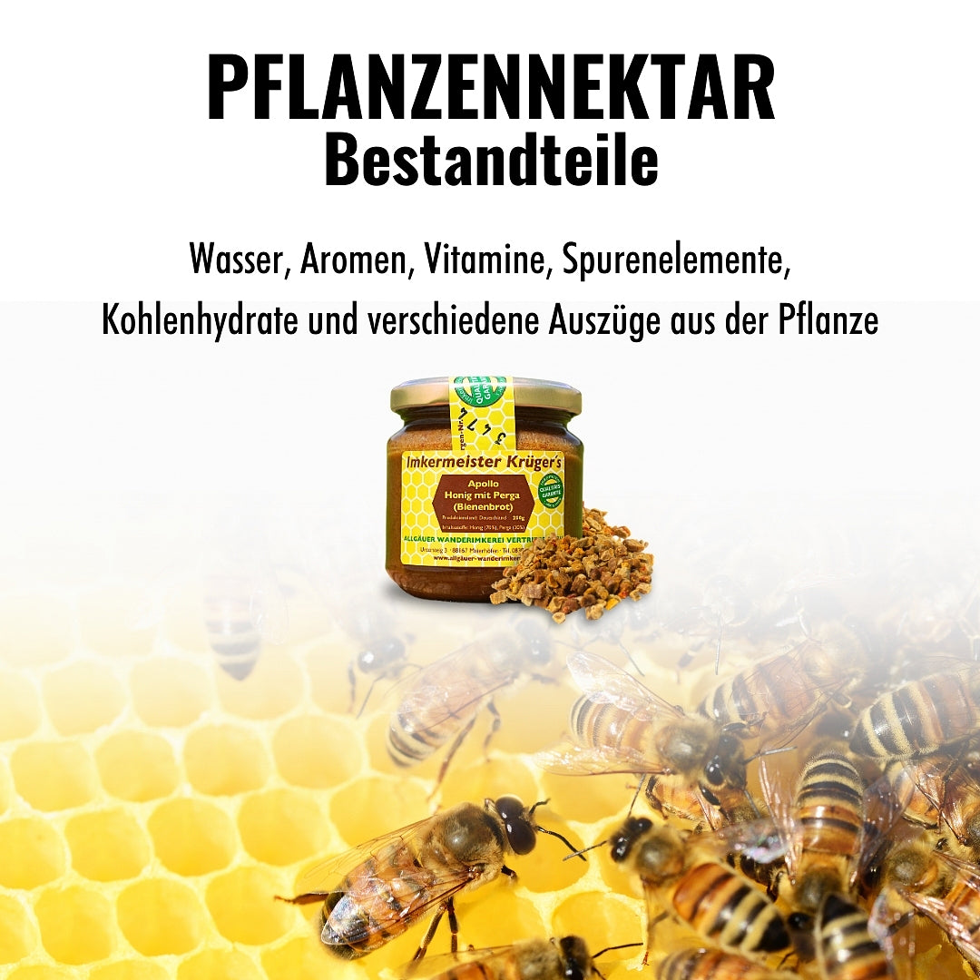 Apollo Honig mit Perga (Bienenbrot) von der Allgäuer Wanderimkerei, Bestandteil Pflanzennektar