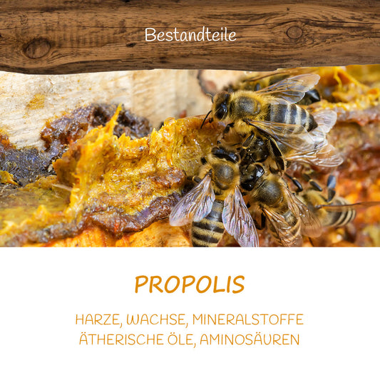 Propolis-Kräuterhexe von der Allgäuer Wanderimkerei