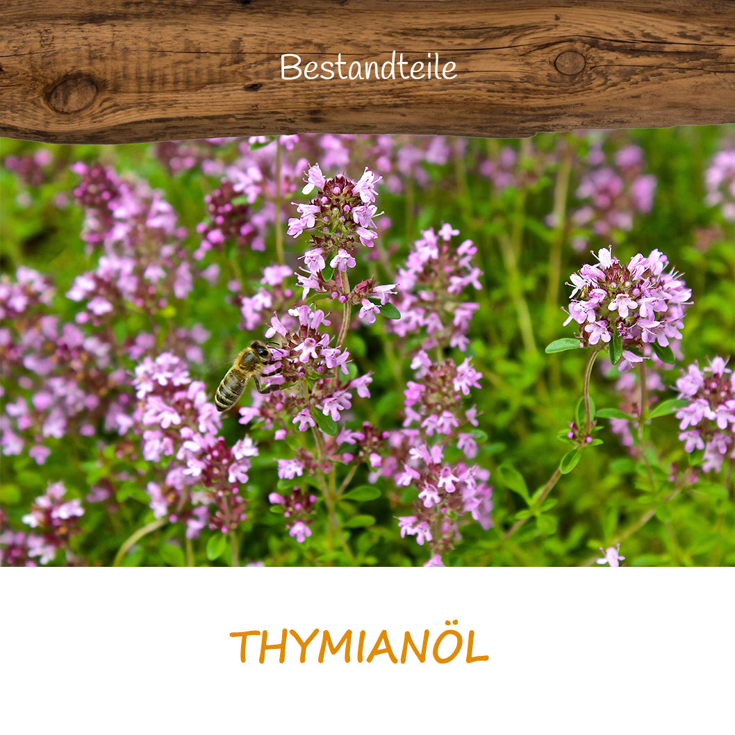 Kräuterhexe von der Allgäuer Wanderimkerei mit Thymianöl und Propolis