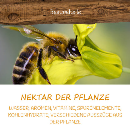 Honig aus Pflanzen-Nektar mit Wasser, Aromen, Vitaminen, Spurenelementen, Kohlenhydraten von der Allgäuer Wanderimkerei