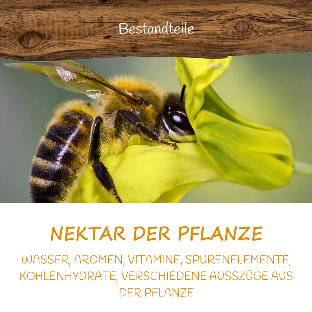 Allgäuer Wanderimkerei: Nektar der Pflanze mit Wasser, Aromen, Vitaminen, Spurenelementen, verschiedenen Auszügen aus der Pflanze