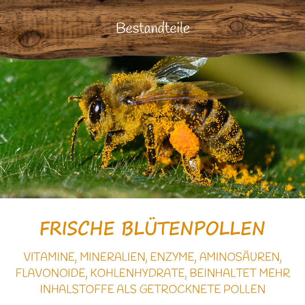 Deutscher Blütenpollen erntefrisch, tiefgefroren von der Allgäuer Wanderimkerei