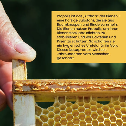 Propolis-Extraktpulver 20g von der Allgäuer Wanderimkerei