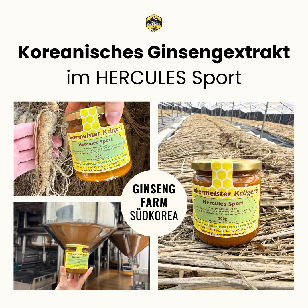 Bienenproduktmischung HERCULES Sport 500g von der Allgäuer Wanderimkerei, mit koreanischem Ginsengextrakt