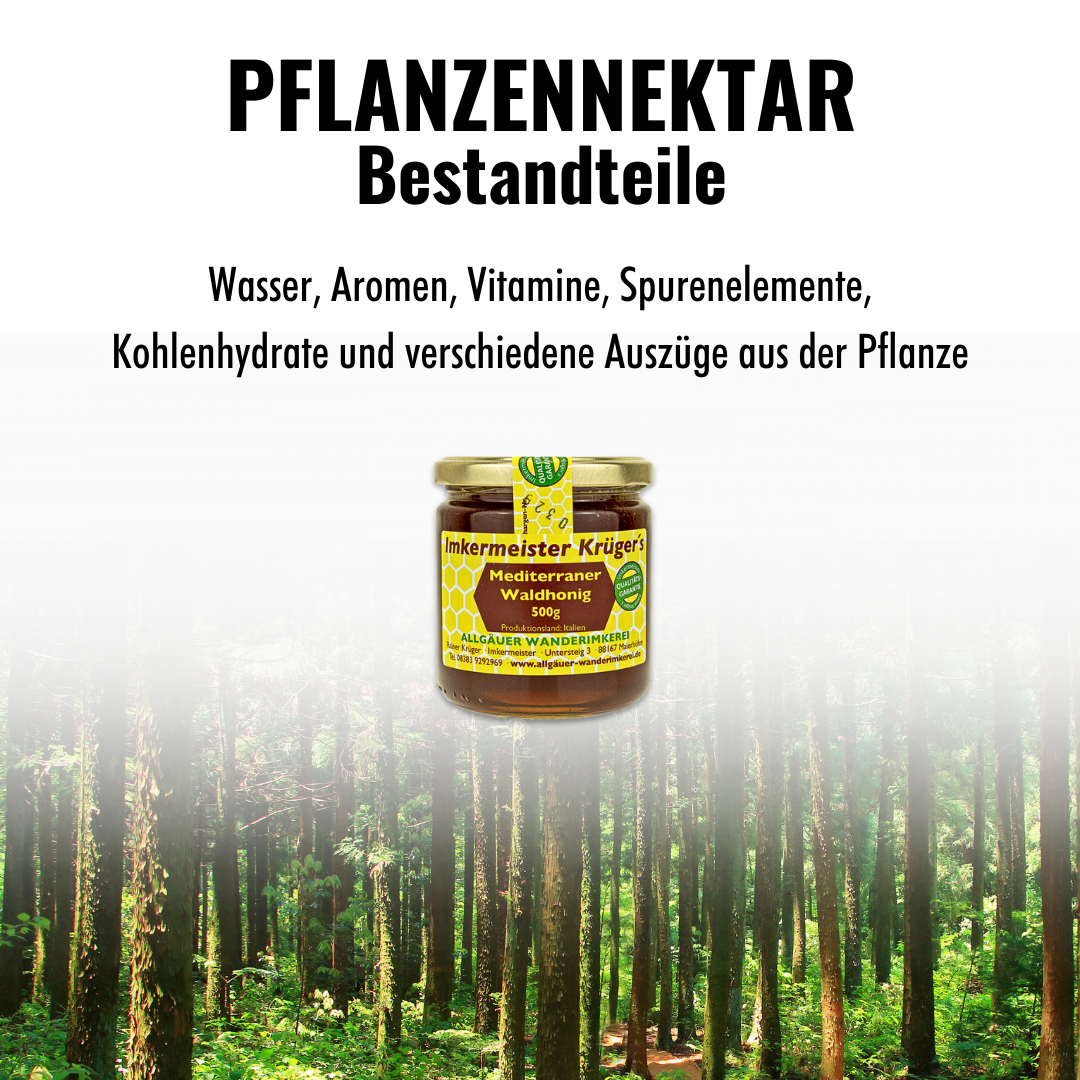 Mediterraner Waldhonig 500g von der Allgäuer Wanderimkerei