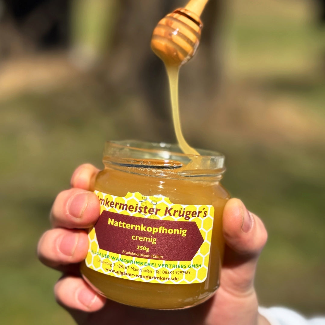 Leckerer Natternkopfhonig cremig 250g von der Allgäuer Wanderimkerei 