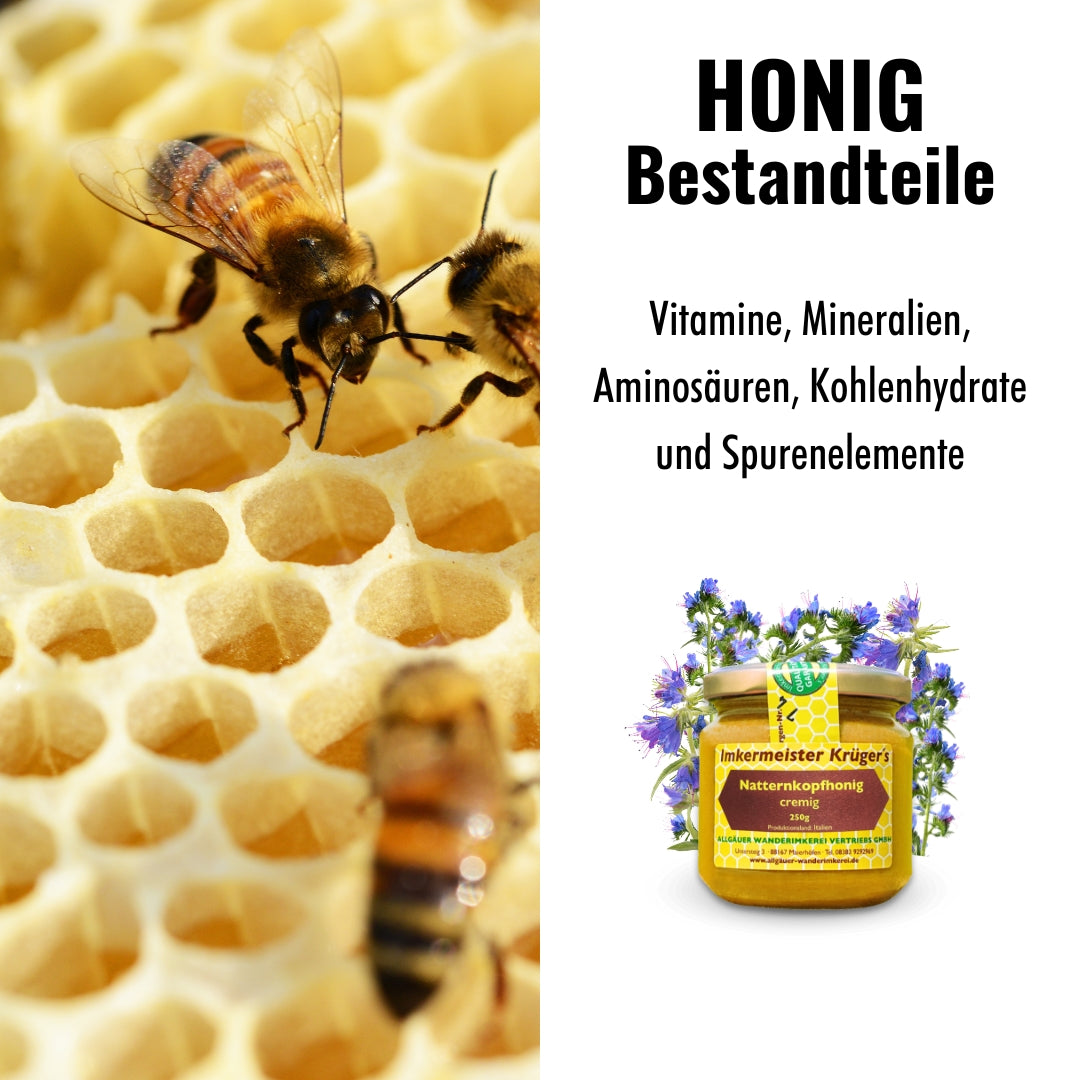 Seltener Natternkopfhonig cremig 250g von der Allgäuer Wanderimkerei