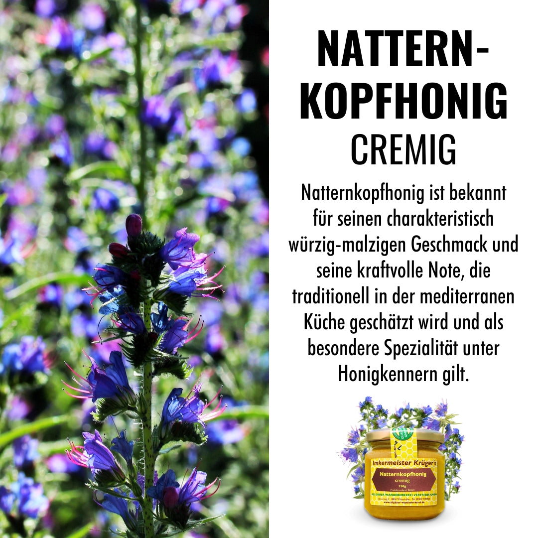 Seltener Natternkopfhonig cremig 250g von der Allgäuer Wanderimkerei