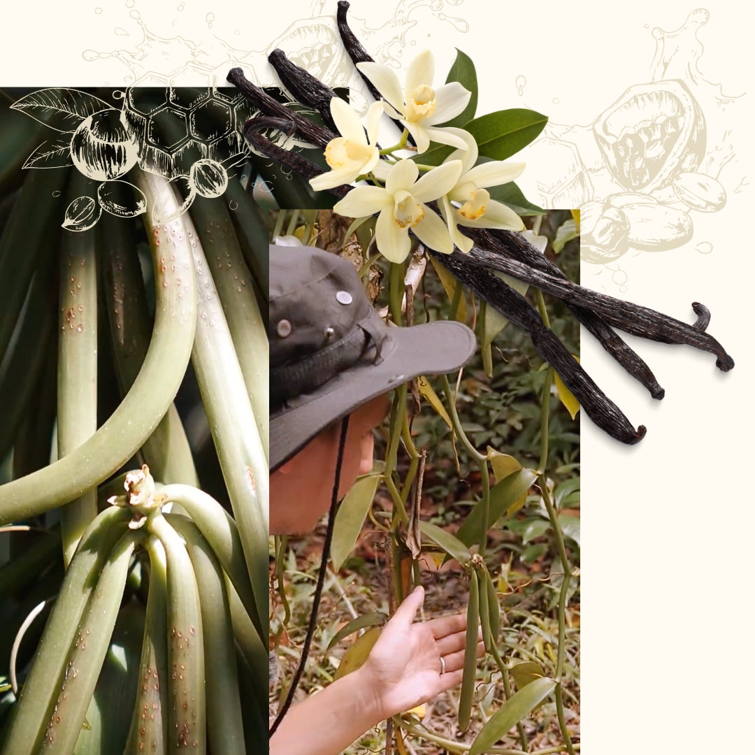 Naturella Nuss-Schoko-Aufstrich von der Allgäuer Wanderimkerei mit echter Bourbon Vanille