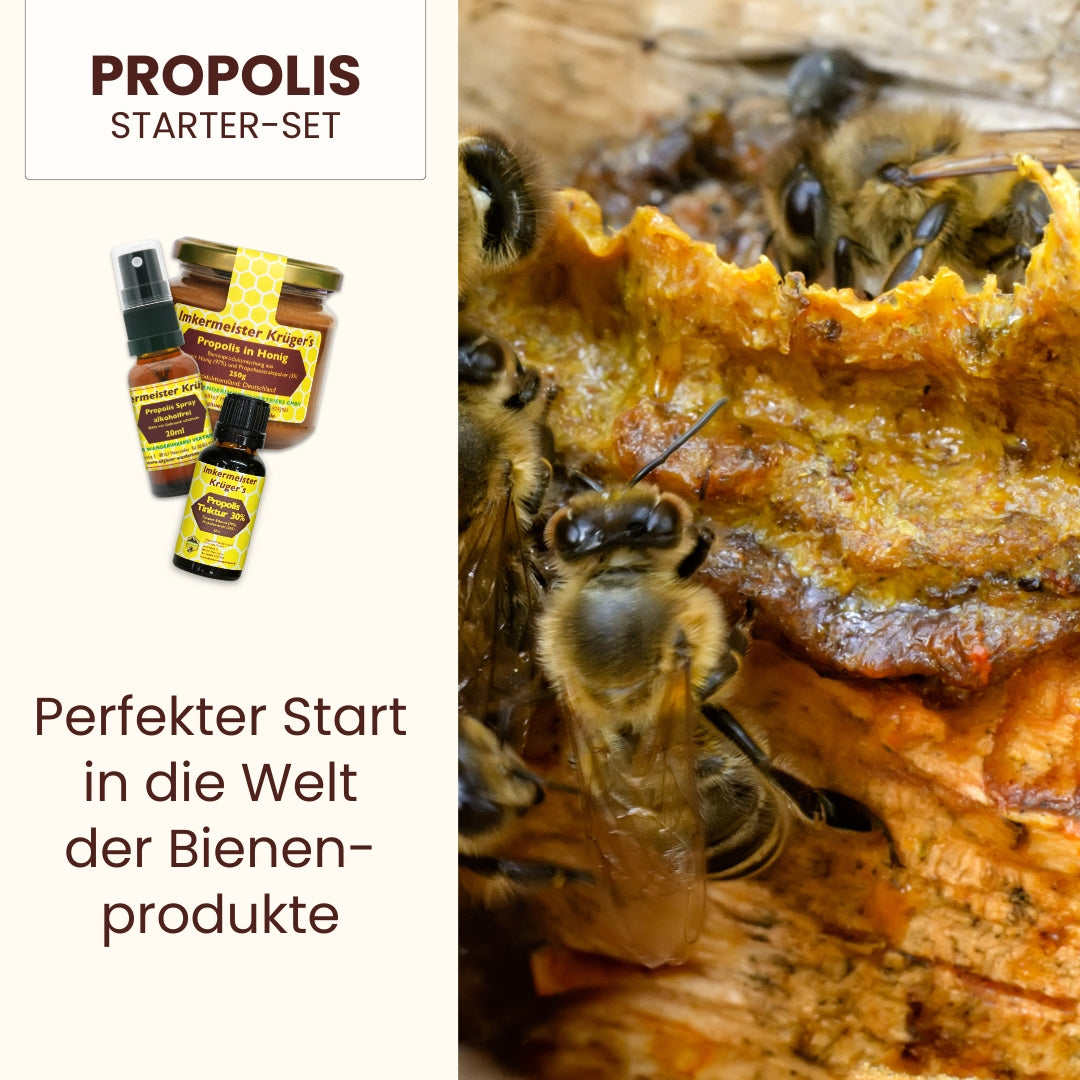 Propolis Starter-Set: 30% Propolis Tinktur 20ml, Propolis Spray alkoholfrei 20ml und Propolis in Honig 250g in einem Einsteiger-Set, direkt vom Imker, von der Allgäuer Wanderimkerei