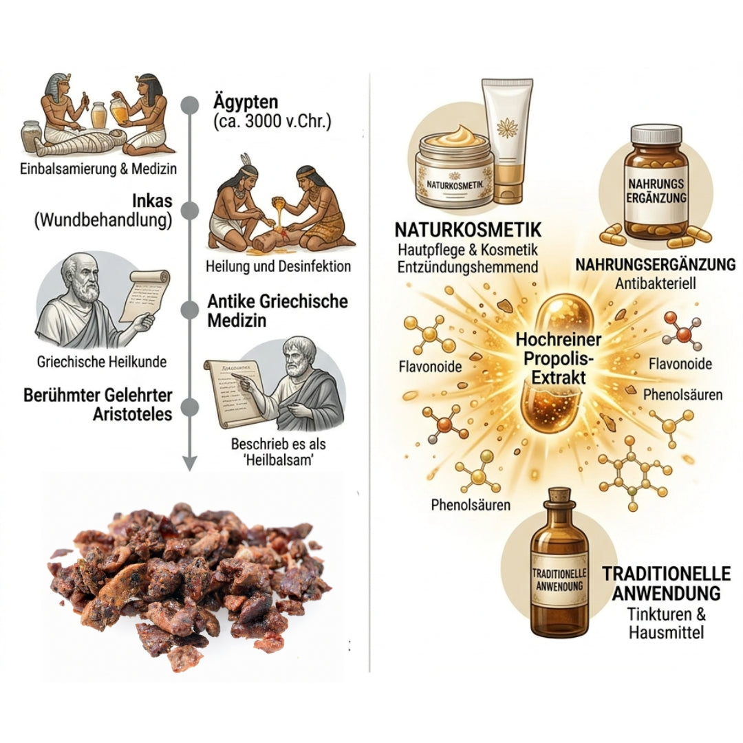 Propolis-Anwendung im Laufe der Zeit – jetzt kaufen bei der Allgäuer Wanderimkerei