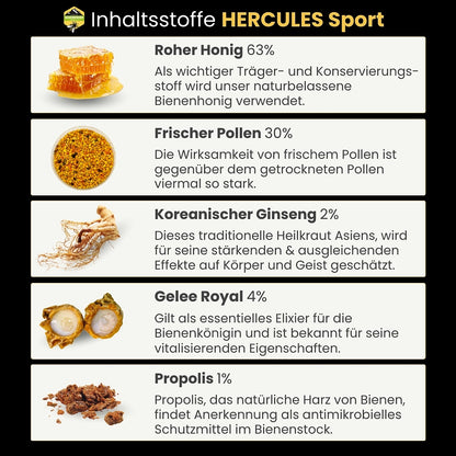 Sportler-Bundle: Hercules Sport 500g von der Allgäuer Wanderimkerei mit rohem Honig, frischen Pollen, Gelee Royal, koreanischem Ginseng und Propolis-Extrakt
