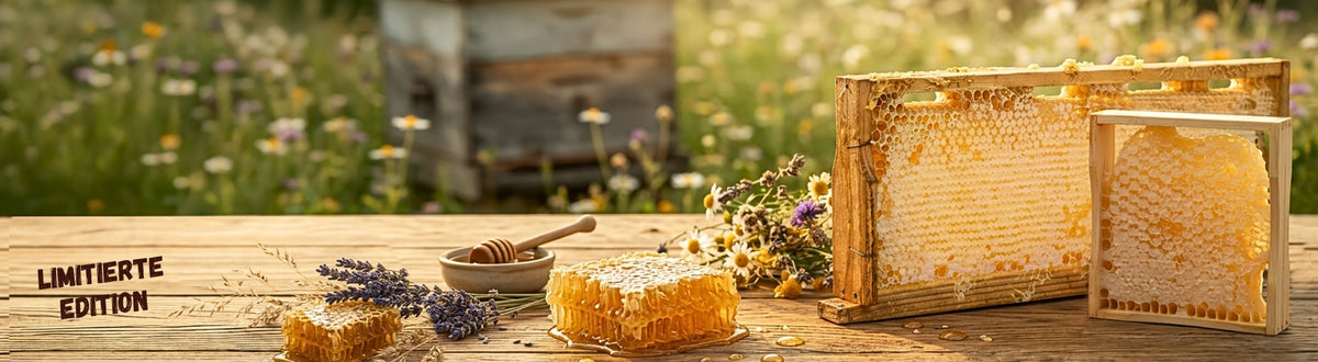 Imkermeister Krüger's Wabenhonig von der Allgäuer Wanderimkerei, Naturprodukt direkt vom Imker, header destop