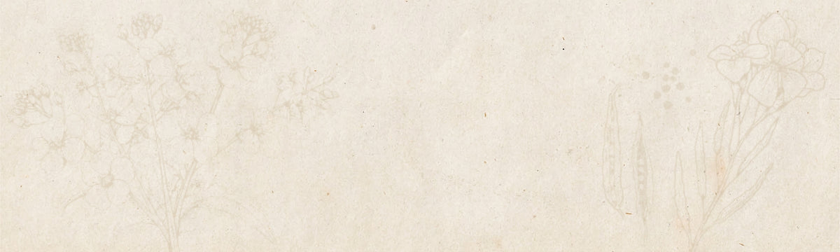 Honig Senf von der Allgäuer Wanderimkerei, Banner