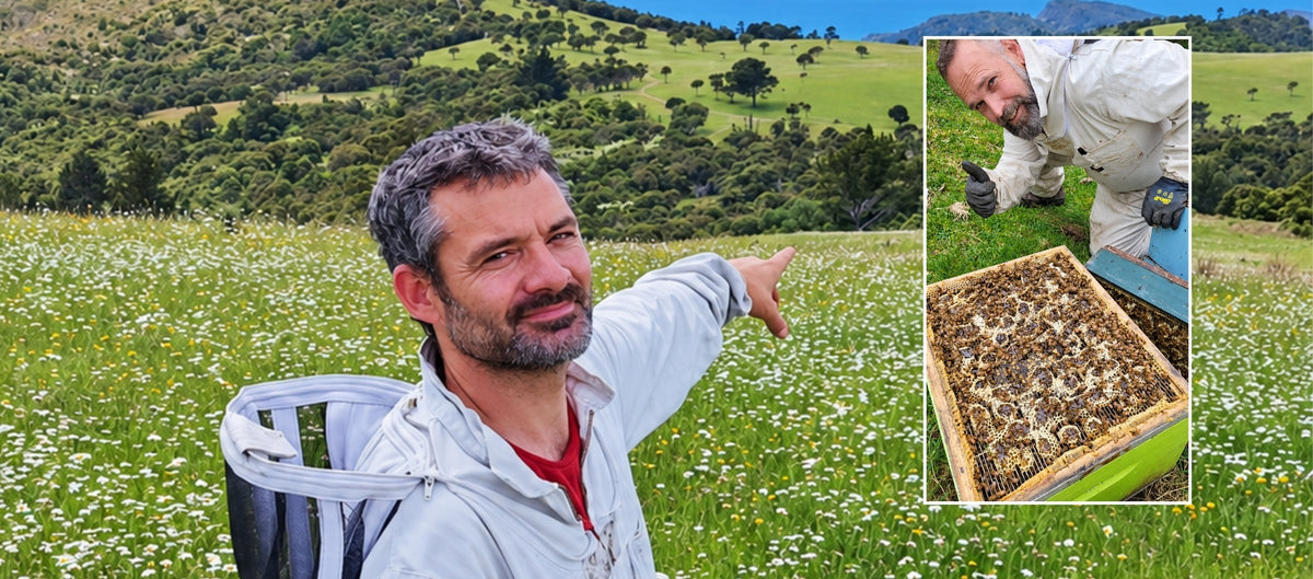 Imker in Neuseeland mit Bienenwaben