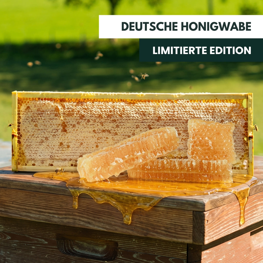Leckere Deutsche Honigwabe 2 kg, Limitierte Edition 2026 Ernte von der Allgäuer Wanderimkerei