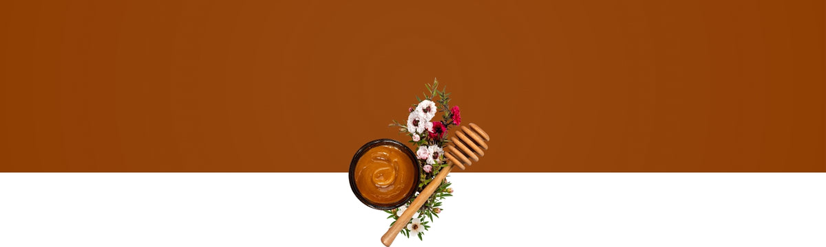 Imkermeister Krüger's Manuka-Honig 150g MGO 550+ aus Neuseeland von der Allgäuer Wanderimkerei – jBanner destop