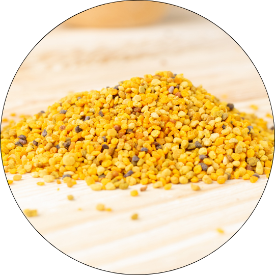 Blütenpollen, Allgäuer Wanderimkerei