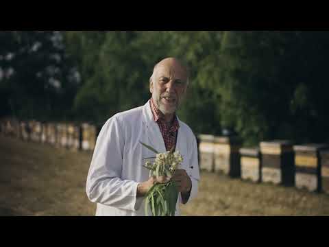 Eukalyptushonig 500g von der Allgäuer Wanderimkerei, aus Italien, Imkermeister Rainer Krüger Video