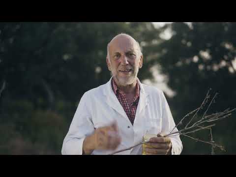 Asfodelohonig von der Allgäuer Wanderimkerei, Rainer Krüger Video