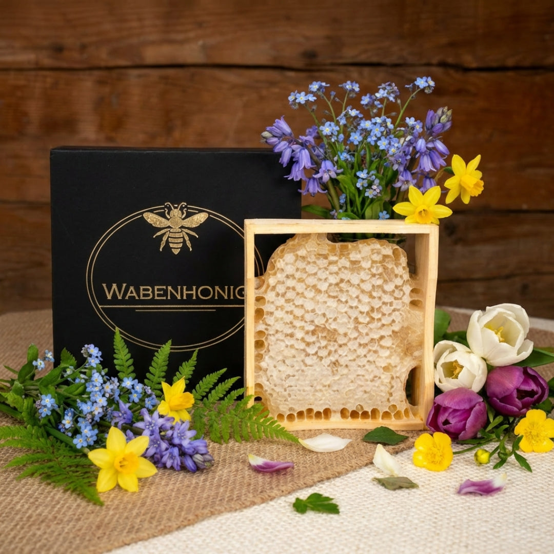 Leckere frische deutsche Honigwabe 350g von der Allgäuer Wanderimkerei