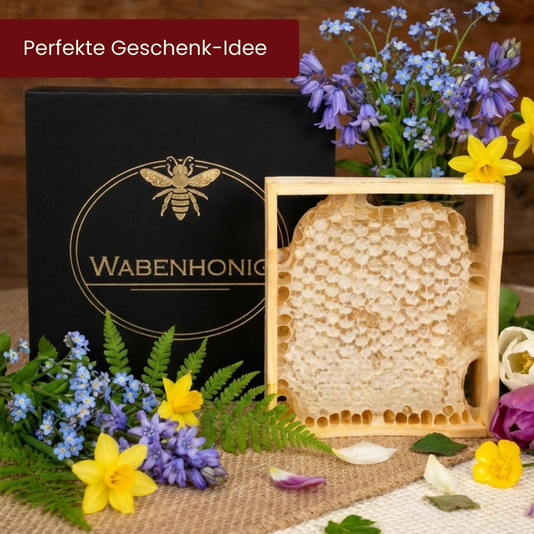 Deutsche Honigwabe in Geschenkbox von der Allgäuer Wanderimkerei